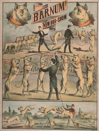 Barnum's New Dog Show