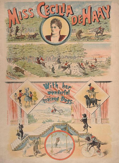 Miss Cecilia de Haay