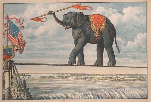 Elephant on a Tight Wire