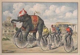 Elephant Rides Tricycle