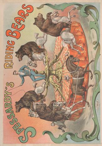 Spessardy's Riding Bears