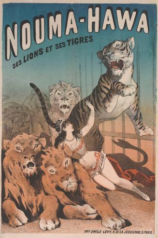 Nouma-Ha Wa: Ses Lions et ses Tigres