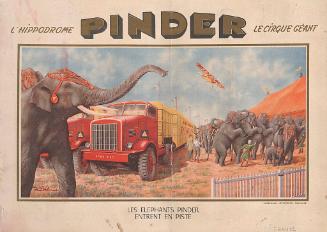 Pinder: Les Elephants