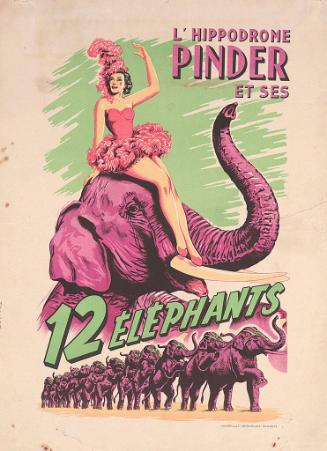 Pinder: 12 Elephants
