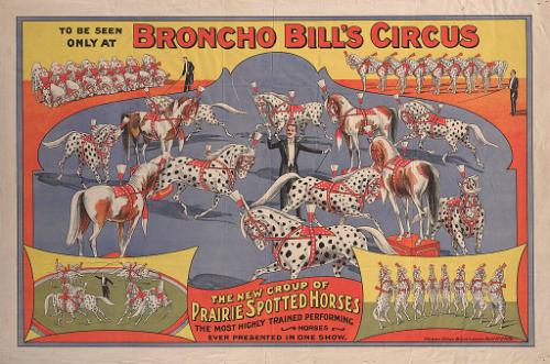 Broncho Bill's Circus:Prairie Spotted Horses