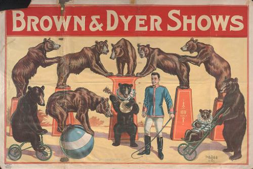 Brown & Dyer: Brown Bear Act