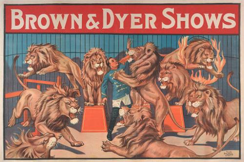 Brown & Dyer: Lion Act