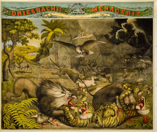 Driesbach & Co. Menagerie