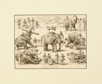 Die Hagenbeck-sche Singhalesen-Karawane / The Hagenbeck'sche Singalese Caravan