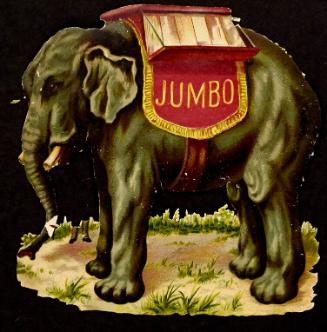 Jumbo