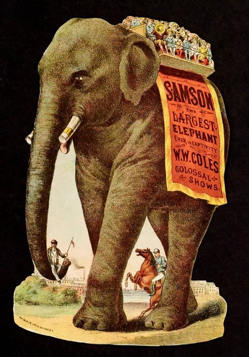 Samson