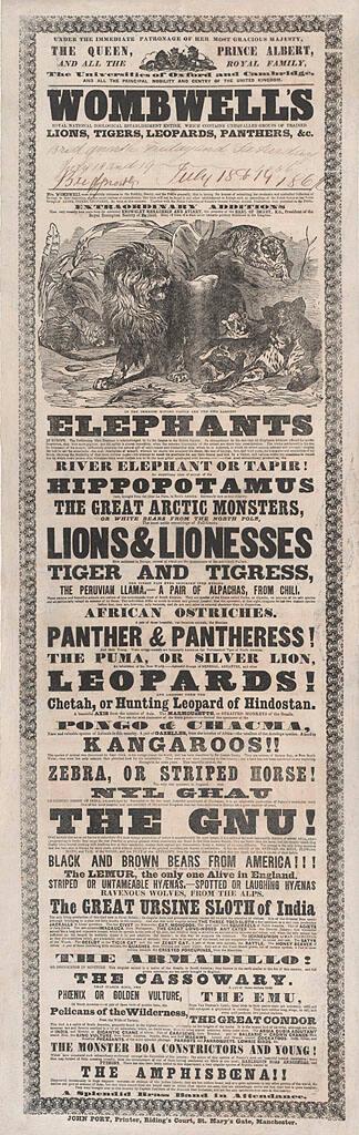 Wombwell's: Lions, Tigers, Leopards