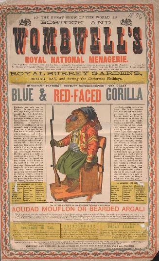 Bostock & Wombwell: Blue and Red Faced Gorilla