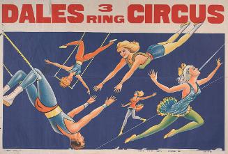 Dales Circus: Aerial Acts