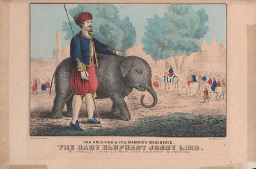 Van Amburgh & Co.'s Mammoth Menagerie: The Baby Elephant Jenny Lind