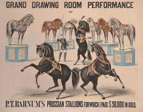 P.T. Barnum: Prussian Stallions