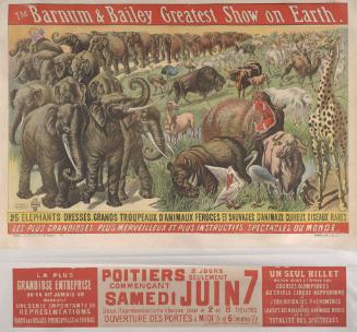 Barnum & Bailey: 25 Elephants