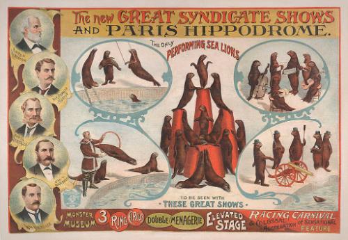 New Great Syndicate Shows and Paris Hippodrome: Performing Sea Lions