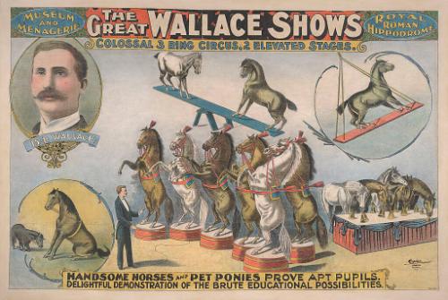 Great Wallace Shows: Handsome Horses