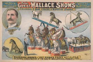 Great Wallace Shows: Handsome Horses