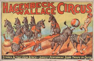 Hagenbeck-Wallace: Striped Actors From Africa