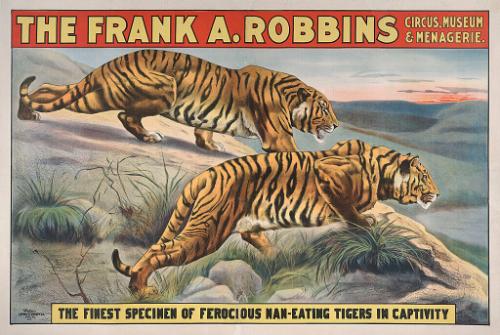 Frank A. Robbins: Ferocious Man-Eating Tigers