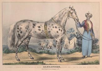 Rockwell H: Alexander