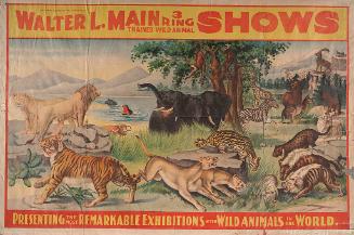 Walter L. Main: Wild Animals