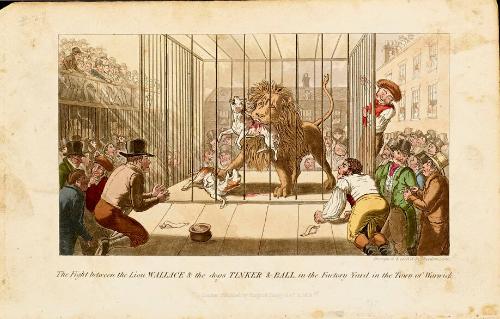 The Fight between the Lion Wallace & the dogs Tinker & Ball in the Factory Yard, in the Town of Warwick.