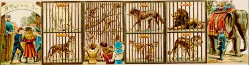 A Visit to the Zoo