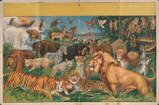 Stock: Animals