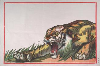 Stock: Tiger