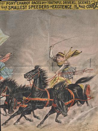 Pony Chariot Races
