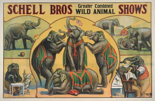 Schell Bros.: Elephant Act