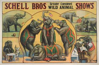 Schell Bros.: Elephant Act