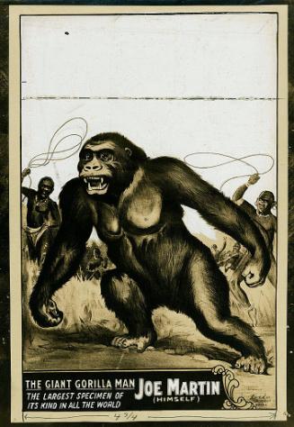 Joe Martin