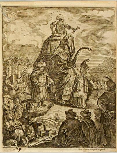 Illustration, fol.9, from Elephantographia Curiosa, Seu Elephanti Descriptio, Juxta Methodum Et Leges Imperialis Academiæ Leopoldino-Carolinæ Naturæ Curiosorum Adornata...