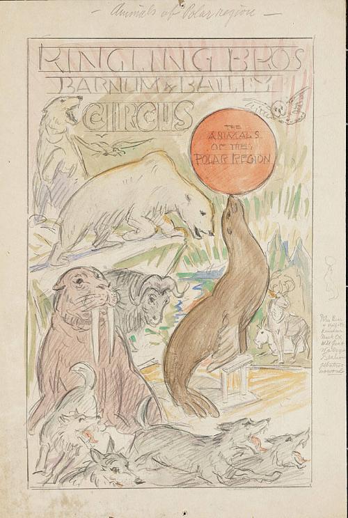 Ringling Bros. and Barnum & Bailey: The Animals of the Polar Region