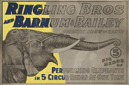 Ringling Bros. and Barnum & Bailey: Five Big Herds of Performing Elephants