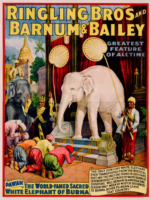 Ringling Bros. and Barnum & Bailey: Pawah White Elephant of Burma