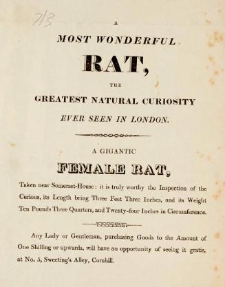 Handbill advertising the display of A Most Wonderful Rat