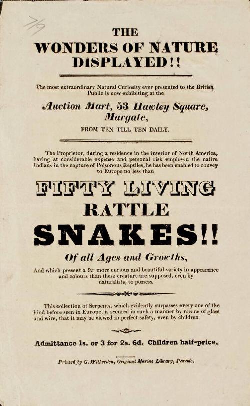 Handbill for an exhibition of Fifty Living Rattlesnakes at Auction Mart, Hawley Square, Margate.