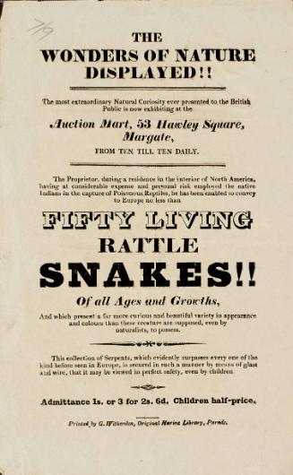 Handbill for an exhibition of Fifty Living Rattlesnakes at Auction Mart, Hawley Square, Margate.