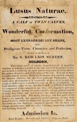 Handbill advertising Twin Calves at No. 6 Red lion Street, Holborn