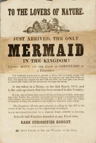 Handbill for the display of a Mermaid