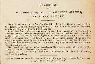 Description of Two Mummies, of the Guanche Species, Male and Female