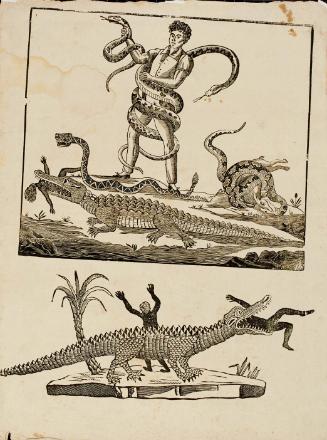 Two scenes with reptiles