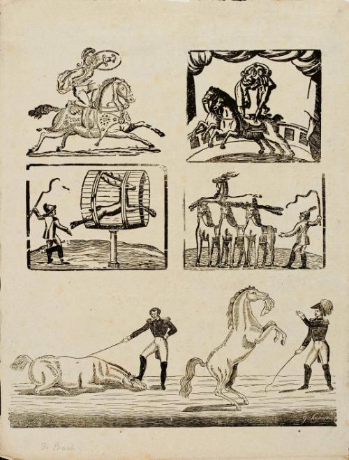Five equestrian performance scenes