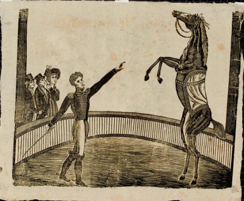 Equestrian Performance scene
