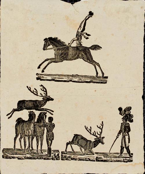 Two Equestrian performance scenes